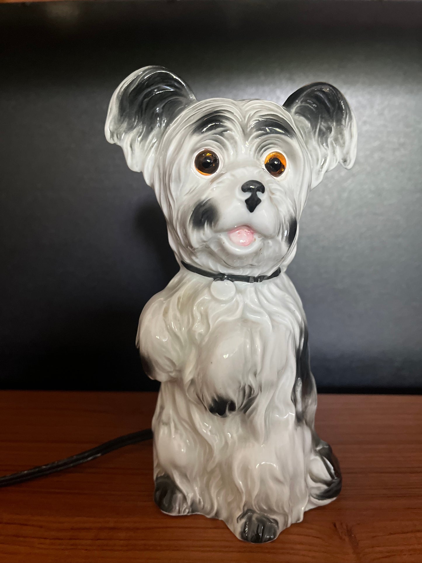 vintage hond in normale verlichting