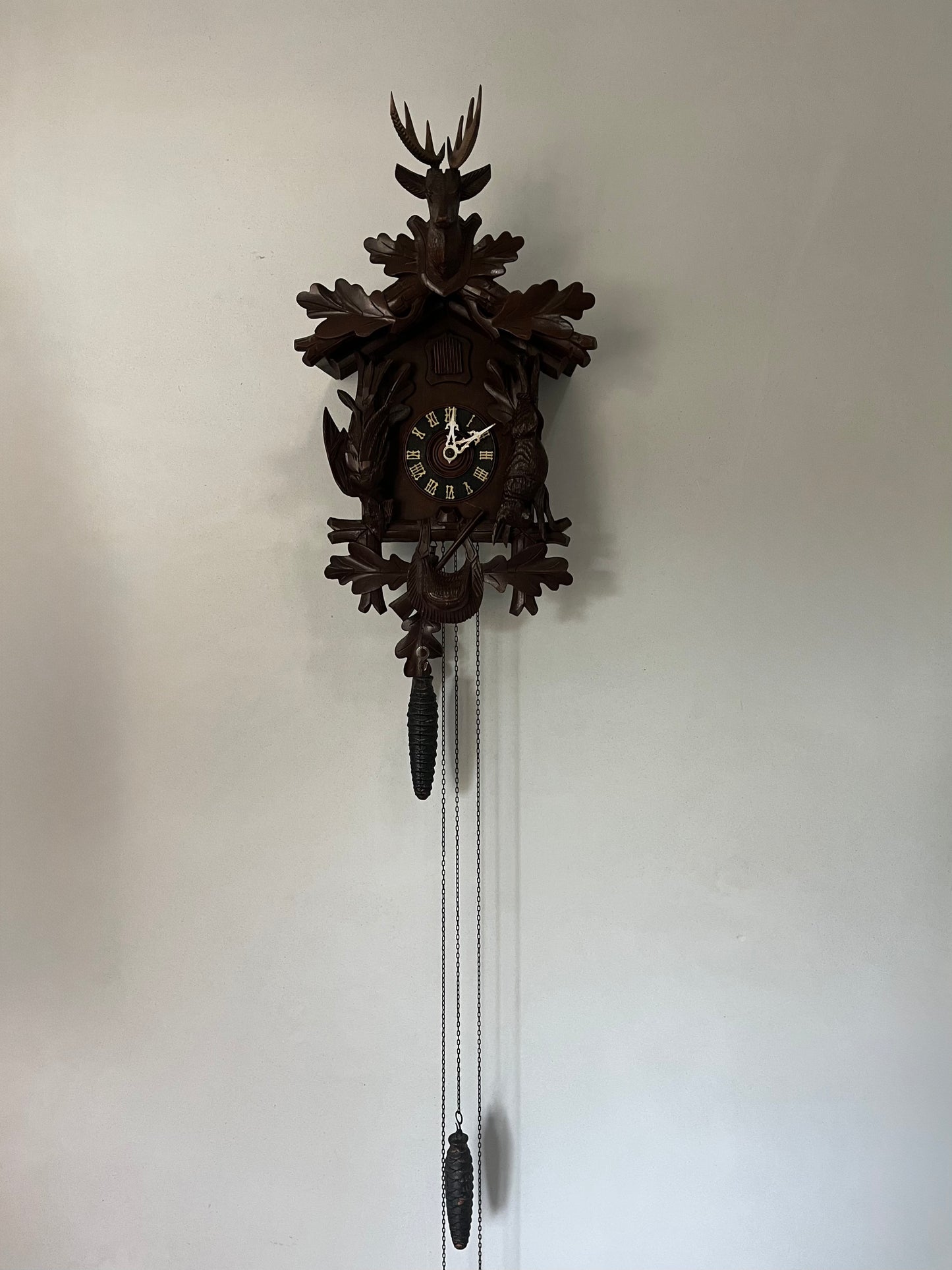 Cuckoo Clock 🐦⬛ Germany Blackwoods