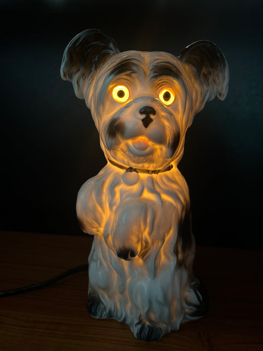 verlichte hond