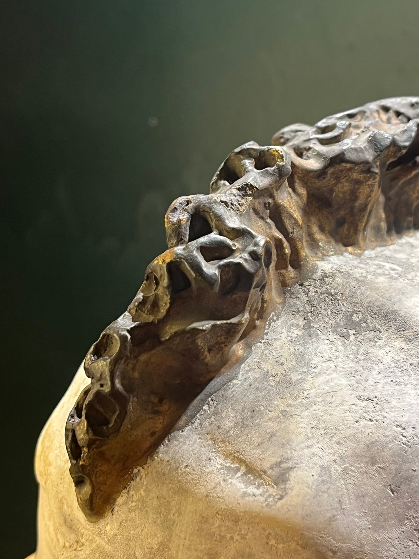 Antieke Jugendstil Pierrot Gipsen Buste - 20e Eeuw